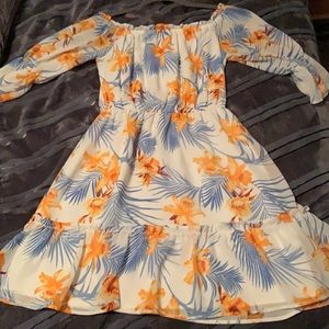 cute dress, lightly worn (twice)
